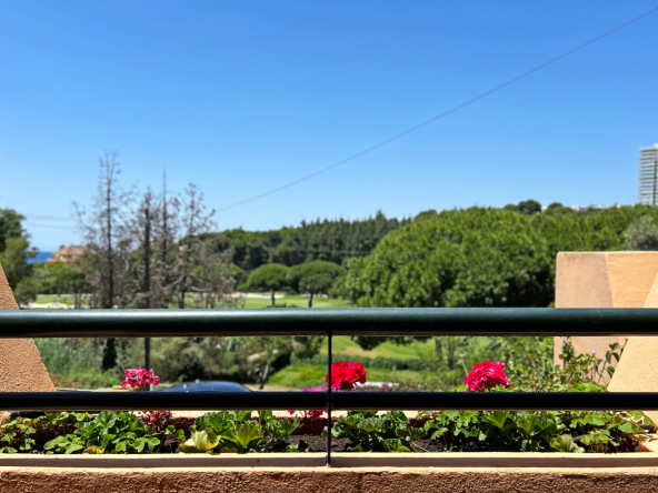 C. de los Cipreses terraza vista