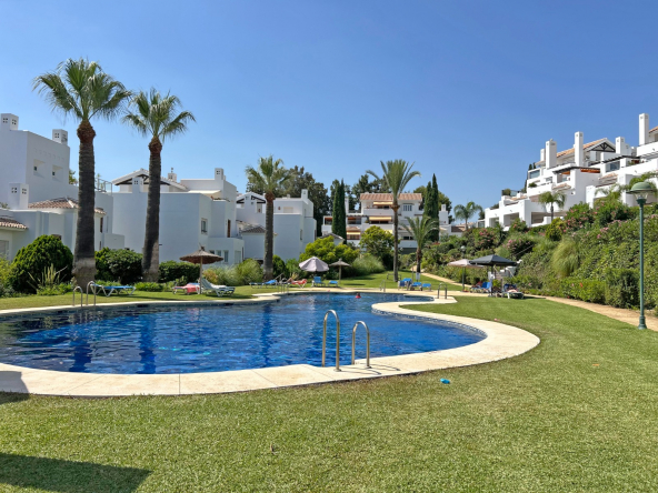 Palm Beach jardin piscina 3