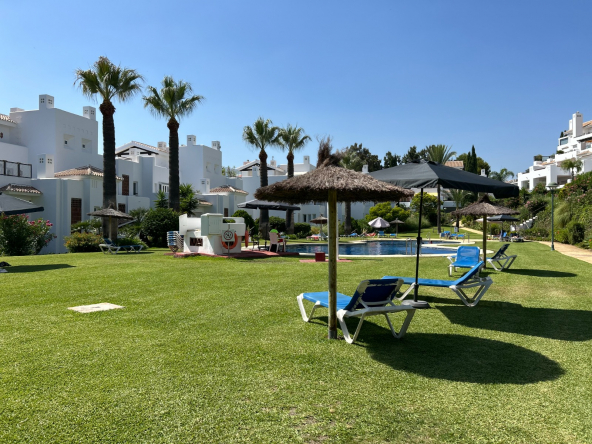 Palm Beach jardin piscina